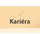 Kariéra